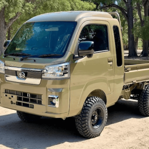 Jumbo manual 4×4 Mini Truck